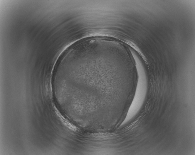 X0000062630980200601041027