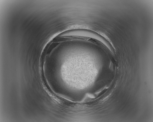 X0000062630981200601041027