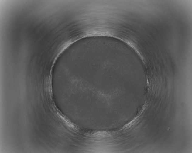 X0000062630982200601041027