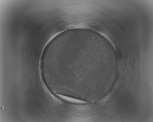 X0000062630983200601041027