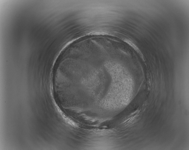 X0000062630984200601041027