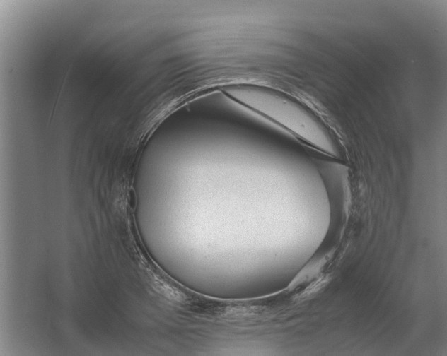 X0000062630985200601041026