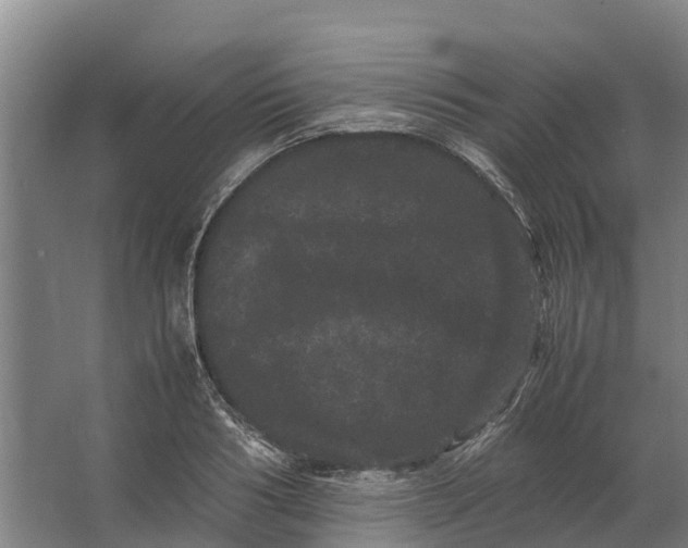 X0000062630986200601041026