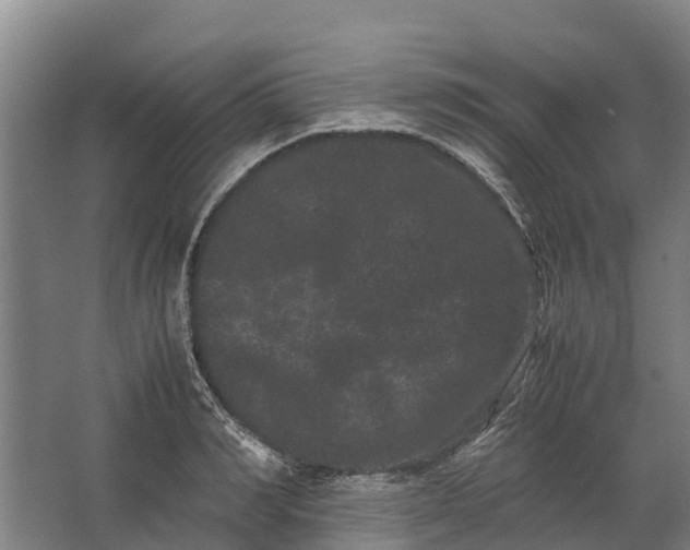 X0000062630990200601041026