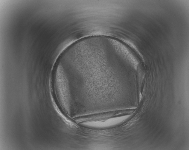 X0000062630991200601041026