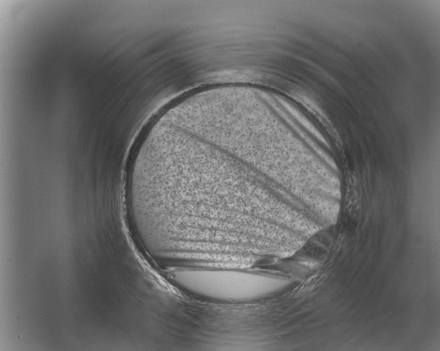 X0000062630992200601041026