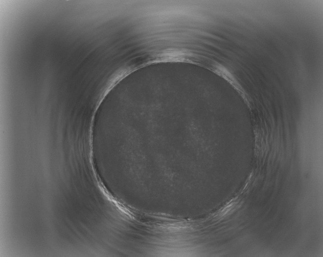 X0000062630994200601041026