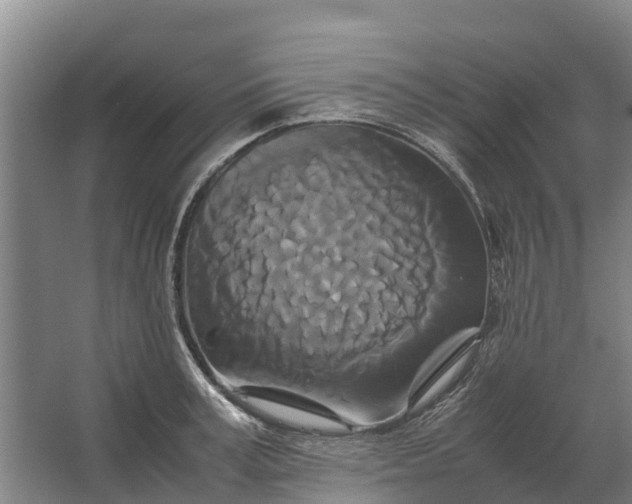 X0000062630995200601041026