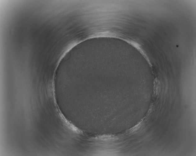 X0000062630998200601041026