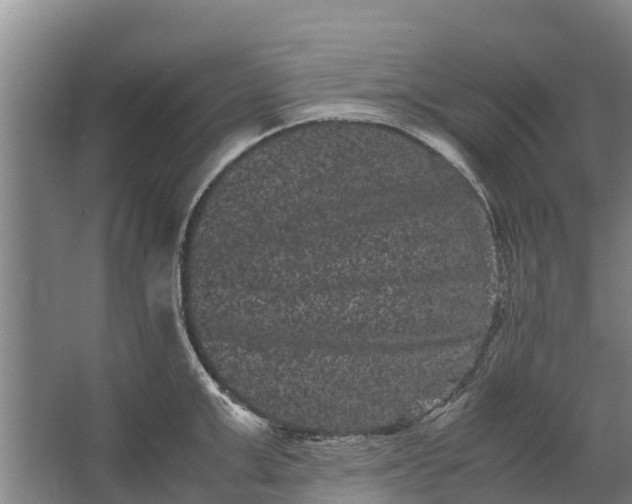 X0000062630999200601041026