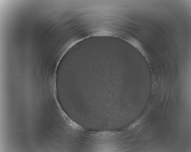 X0000062631000200601041026