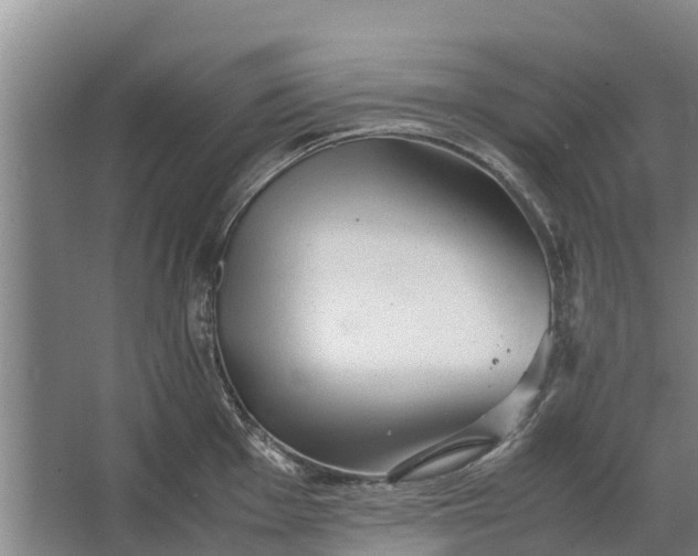 X0000062631001200601041026