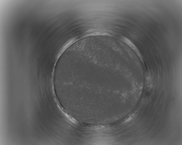 X0000062631002200601041026