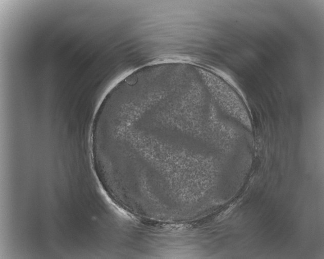 X0000062631003200601041026