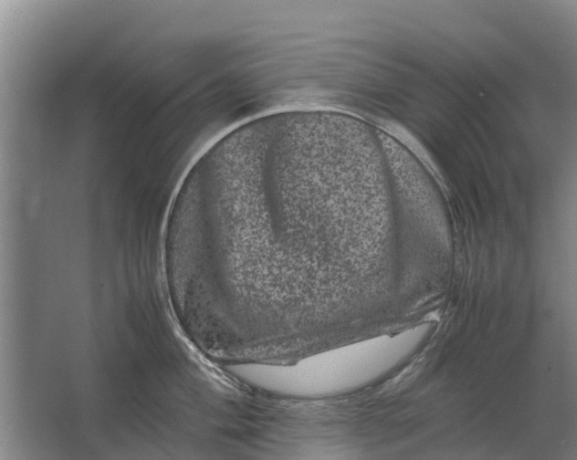 X0000062631004200601041026