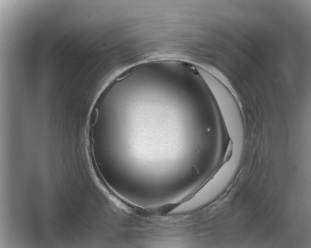 X0000062631005200601041026