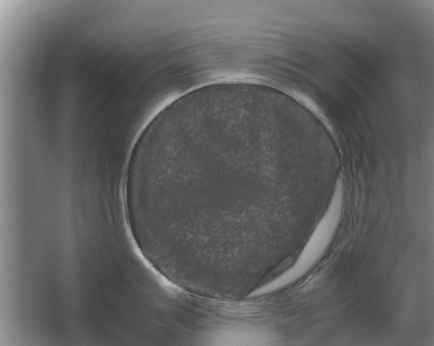 X0000062631007200601041026