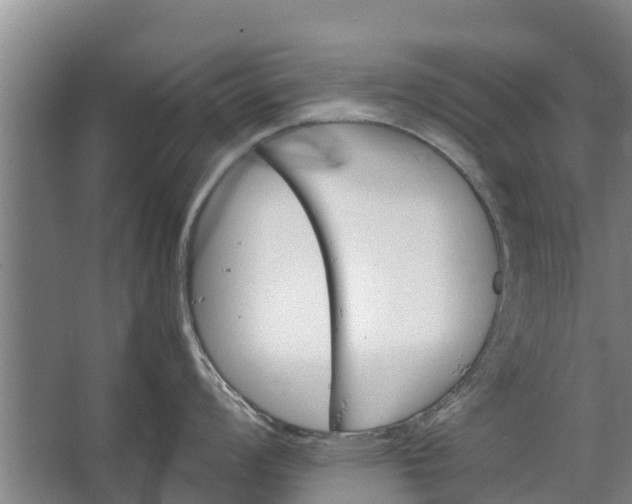 X0000062631008200601041026