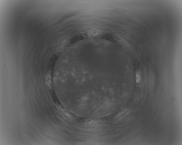 X0000062631011200601041025