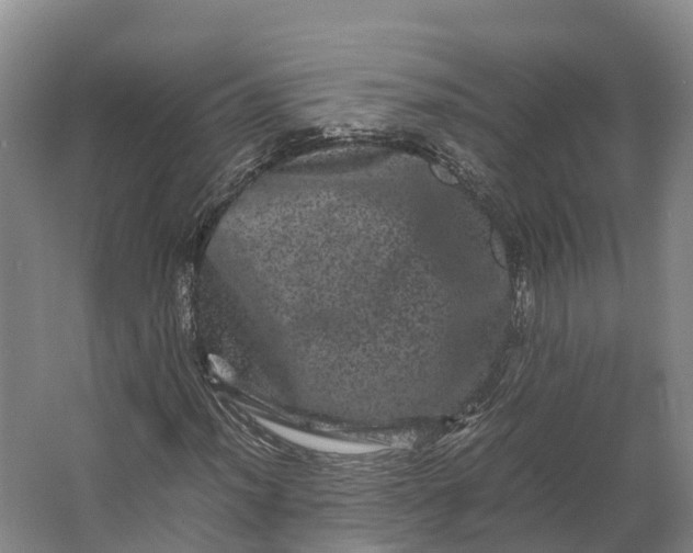 X0000062631012200601041025