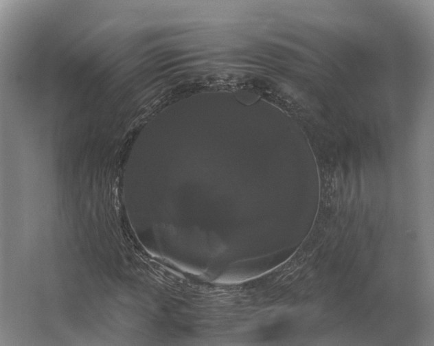 X0000062631013200601041025