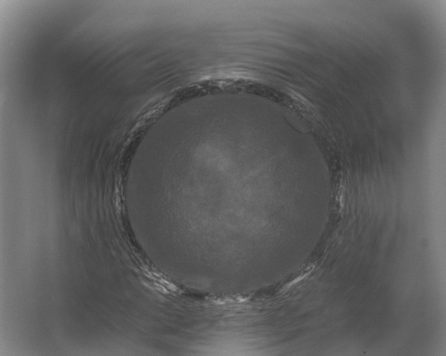 X0000062631014200601041025