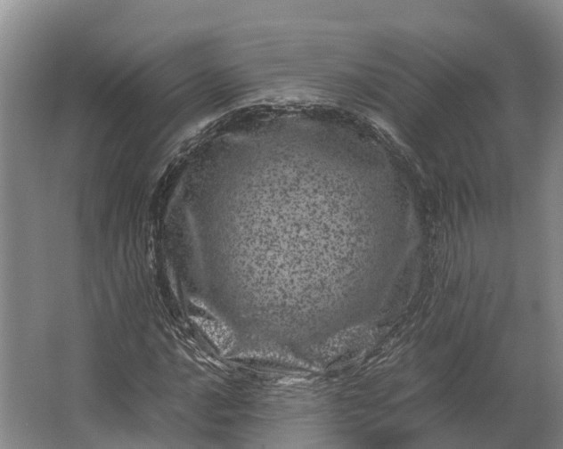 X0000062631016200601041025