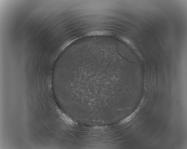 X0000062631017200601041025