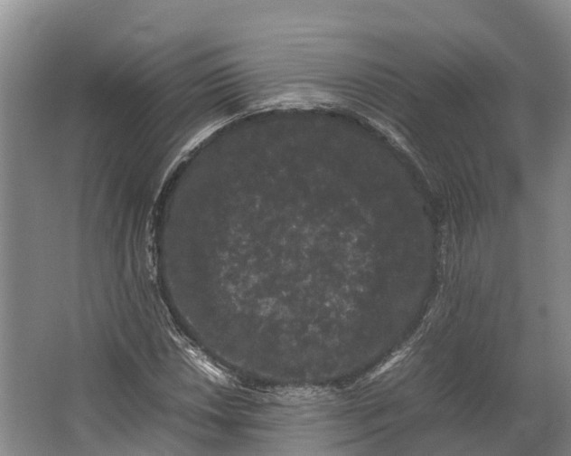 X0000062631018200601041025