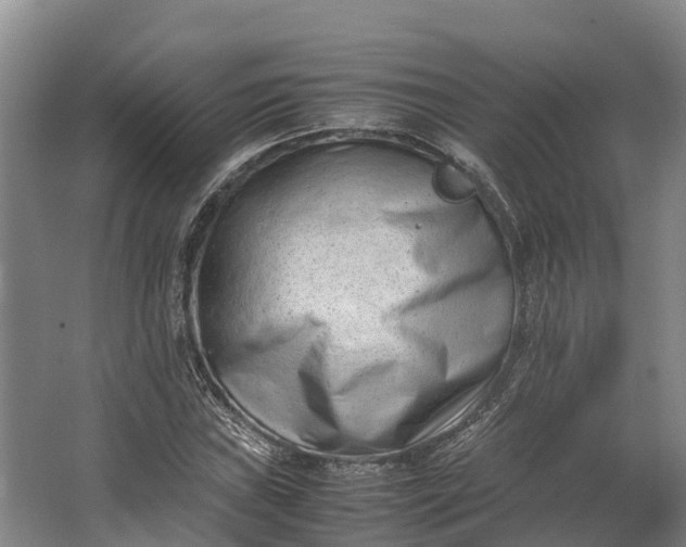 X0000062631019200601041025