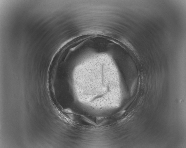 X0000062631020200601041025