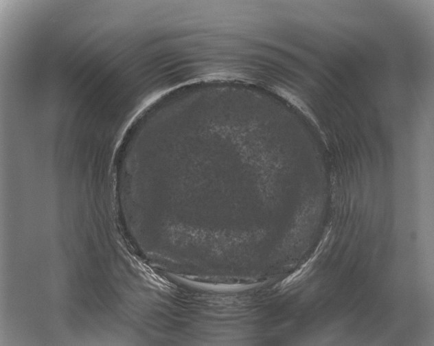 X0000062631021200601041025