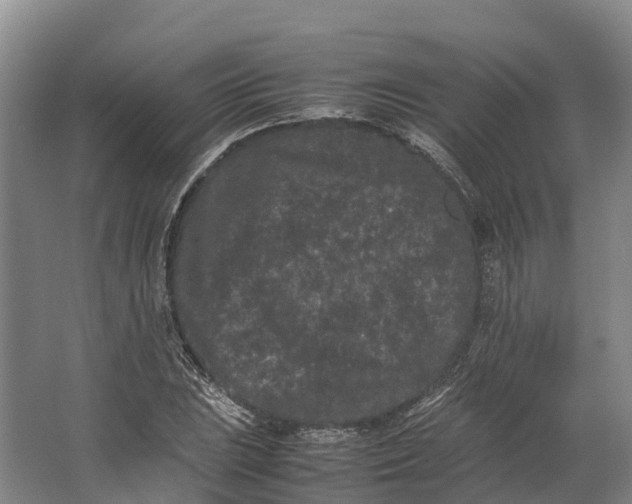 X0000062631023200601041026