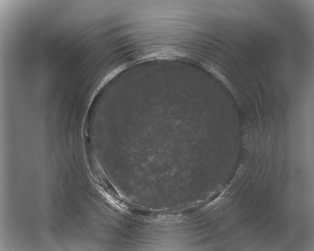 X0000062631026200601041026