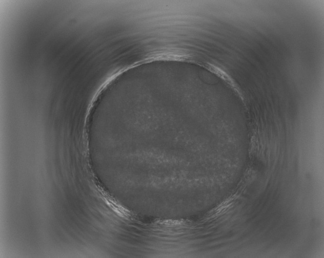 X0000062631027200601041026