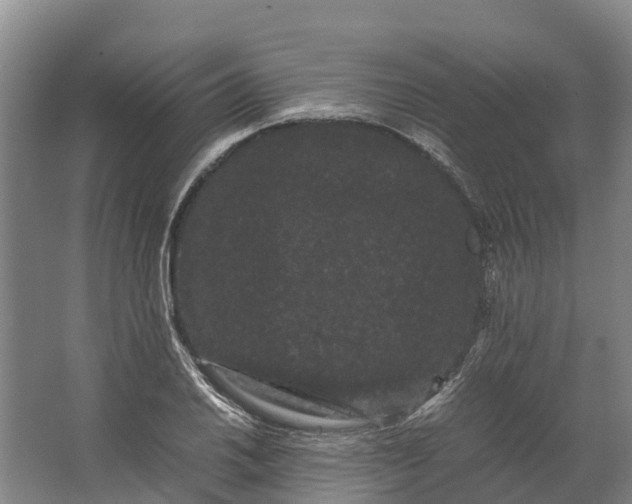 X0000062631030200601041026