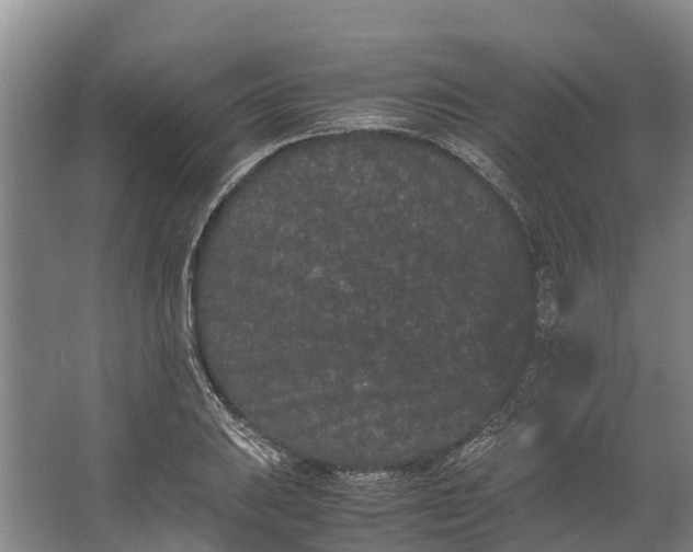 X0000062631031200601041026