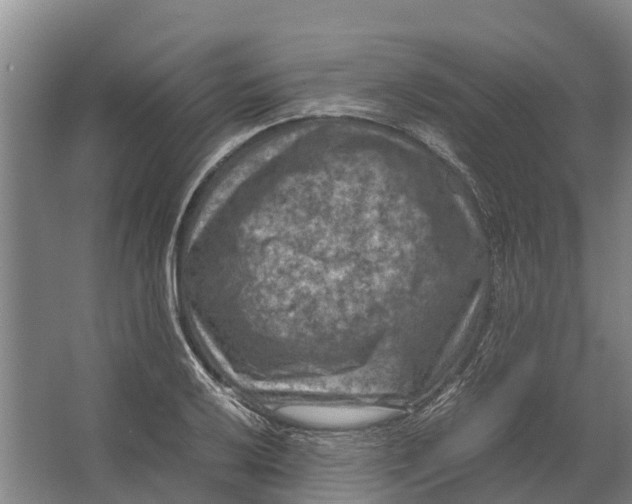 X0000062631032200601041026