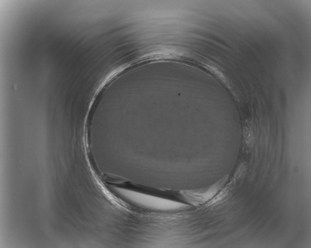 X0000062631034200601041026