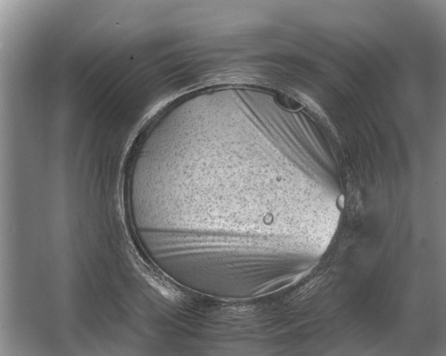 X0000062631035200601041026