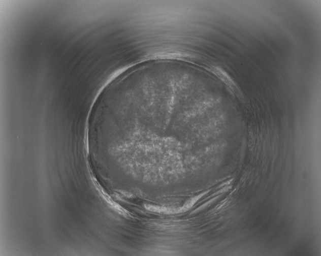 X0000062631036200601041026