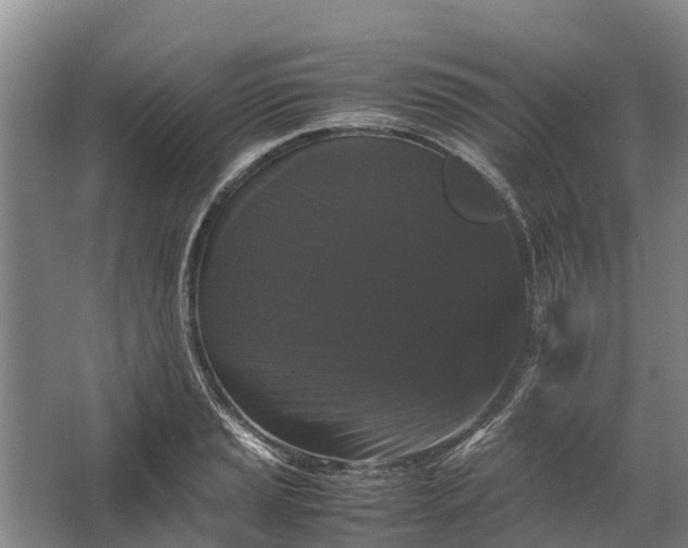 X0000062631037200601041026