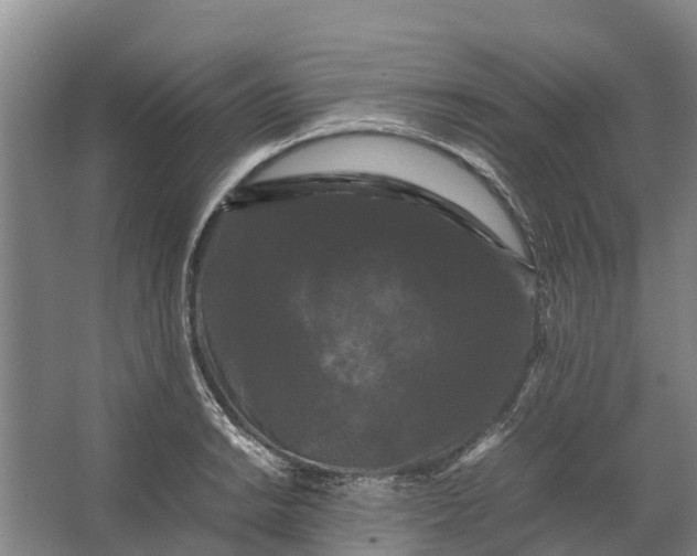 X0000062631038200601041026