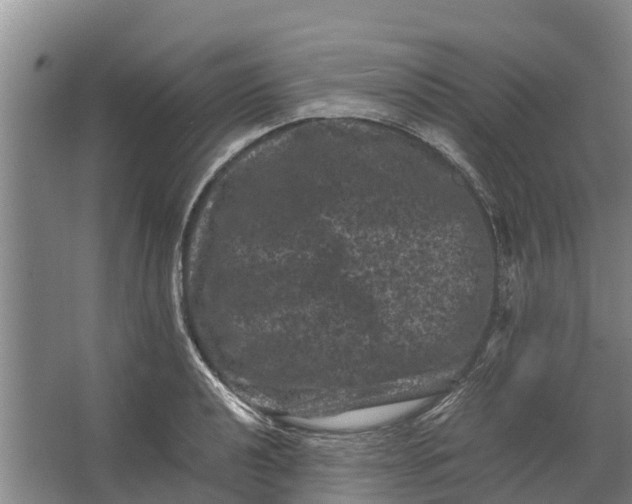 X0000062631040200601041026