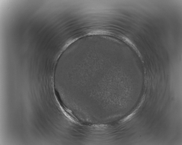 X0000062631041200601041026