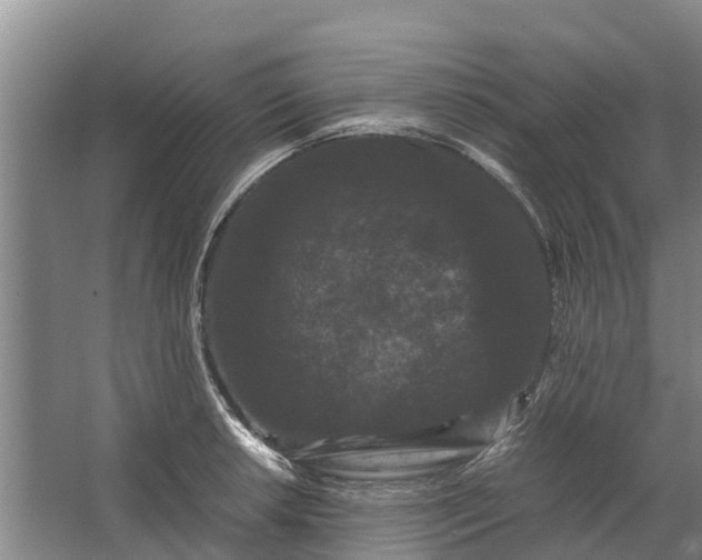 X0000062631042200601041026