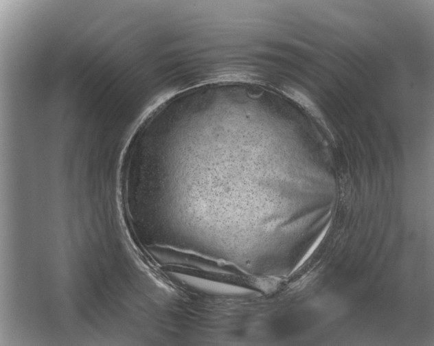 X0000062631043200601041026