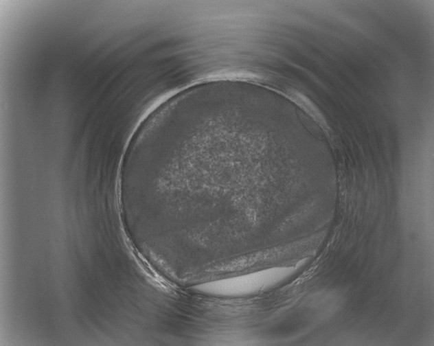 X0000062631044200601041026