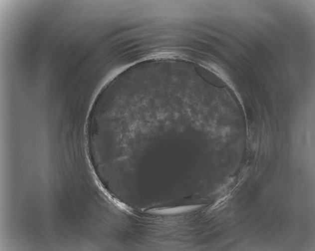 X0000062631045200601041026