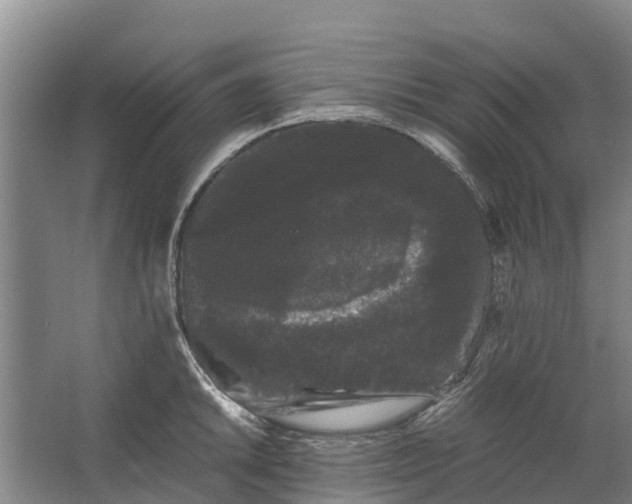 X0000062631046200601041026